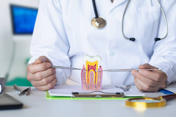 Best Emergency Root Canal Treatment in Kaukauna, WI